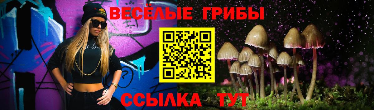 Псилоцибиновые грибы мицелий Богданович