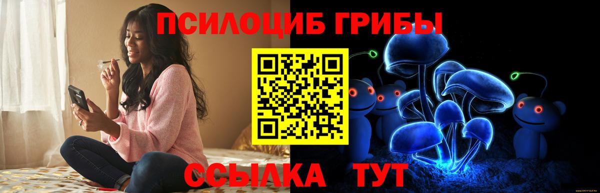 где купить наркоту  Вход с VPN  Богданович  Галлюциногенные грибы Magic Shrooms 
