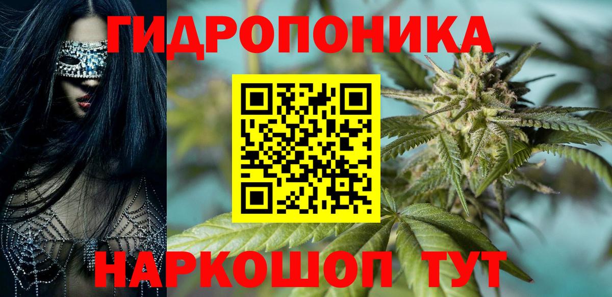 Бошки Шишки тримм  Вход с VPN  Шишки марихуана тримм  Богданович 